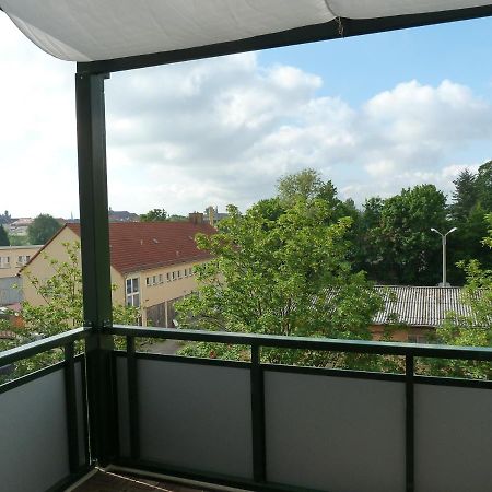 Fewo Dresden-Trachau Kültér fotó